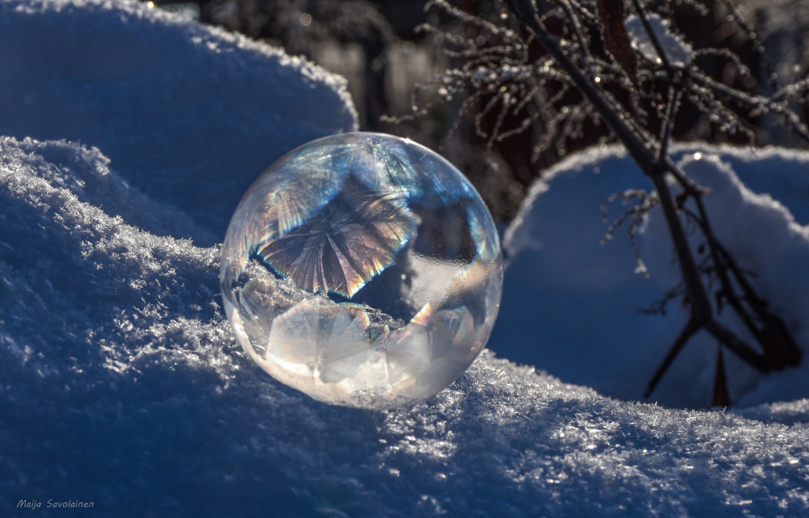 Valokuvaaja: Maija Savolainen