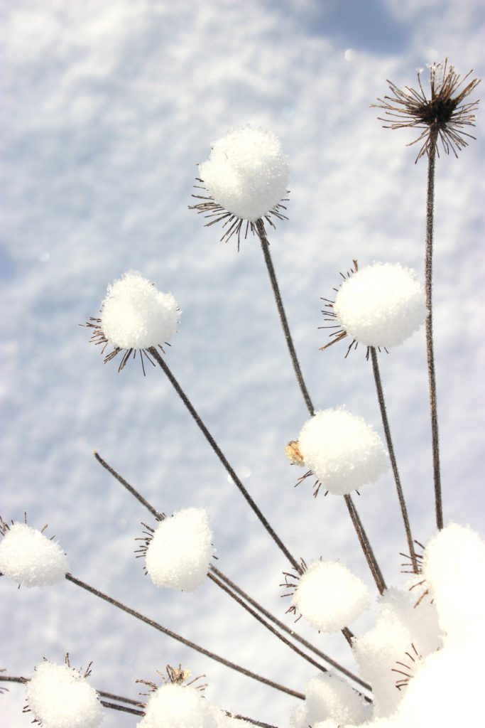 Valokuvaaja: Irja lehtinen