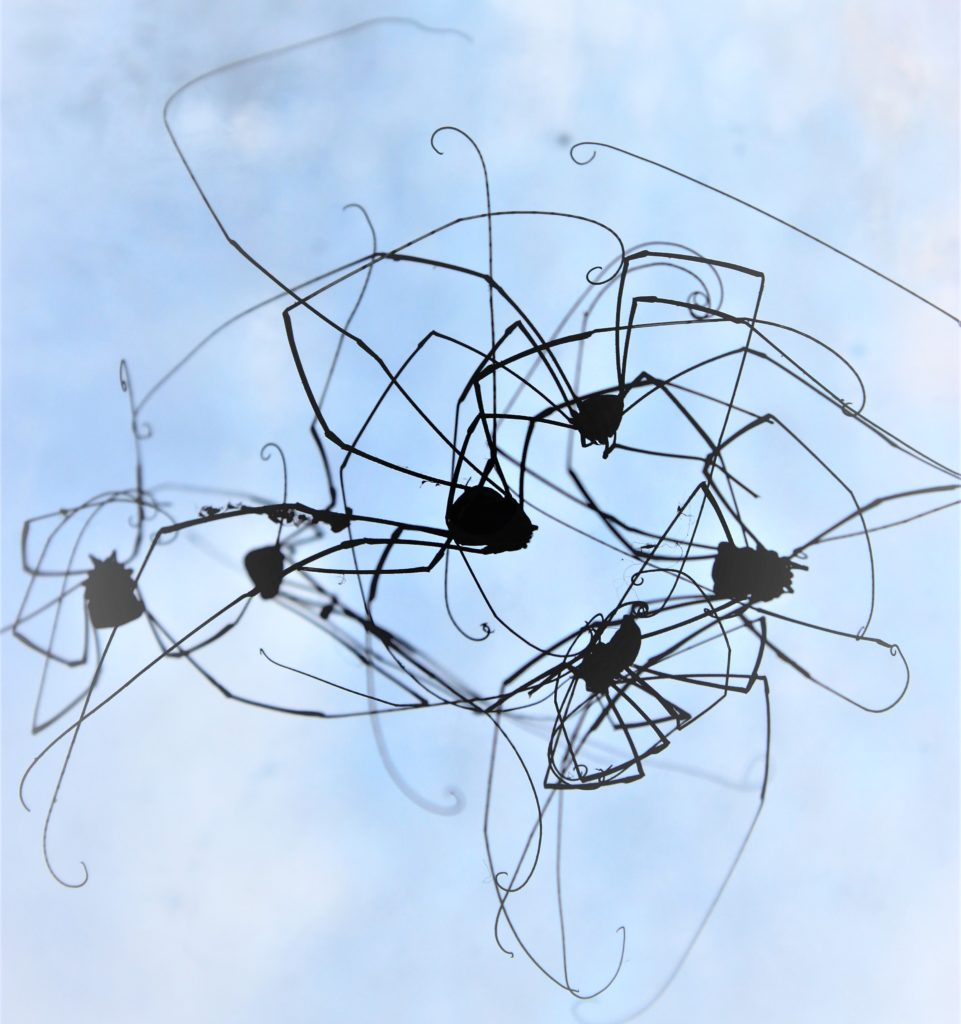 Valokuvaaja: Irja lehtinen