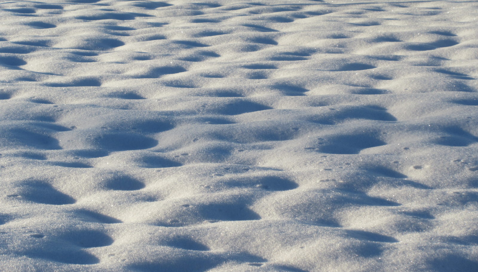 Valokuvaaja: Terttu Rantanen