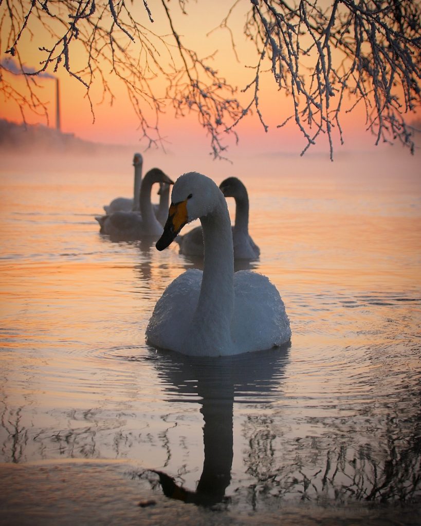 Valokuvaaja: Pasi Hyttinen