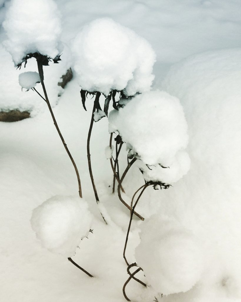 Valokuvaaja: Anne Ala-Mikkula
