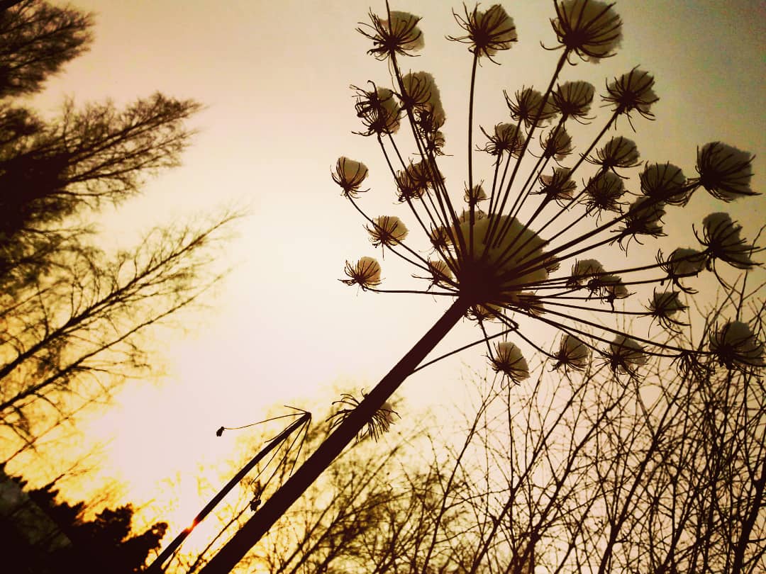 Valokuvaaja: Anne Ala-Mikkula