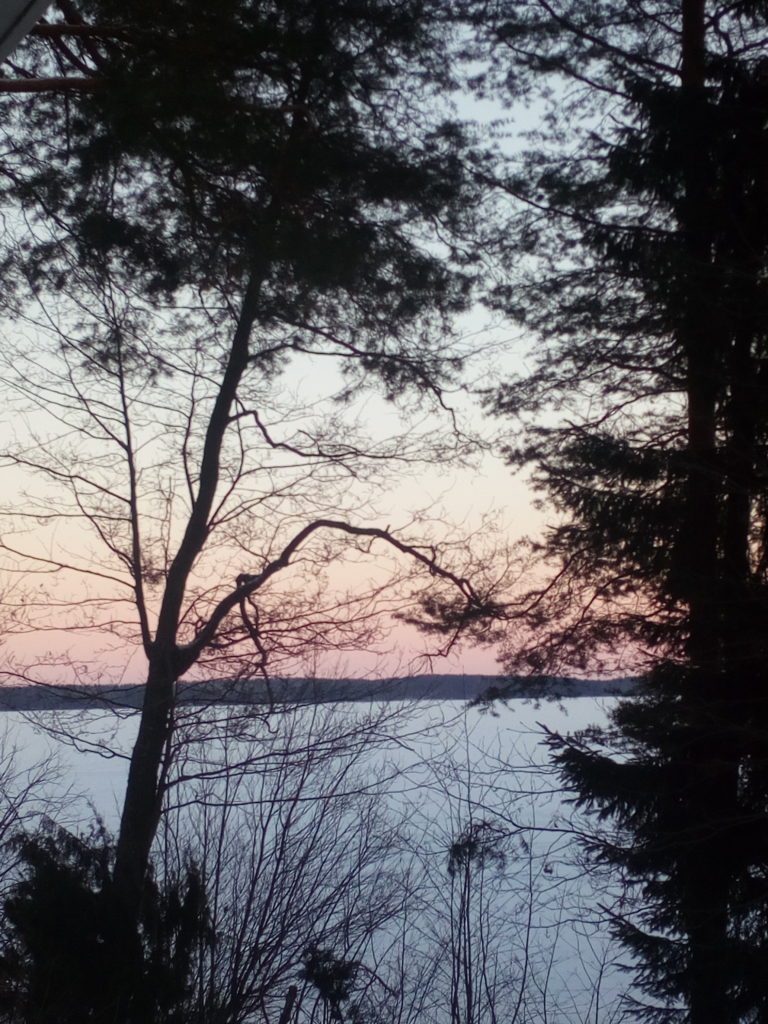 Valokuvaaja: Mikko lehtonen