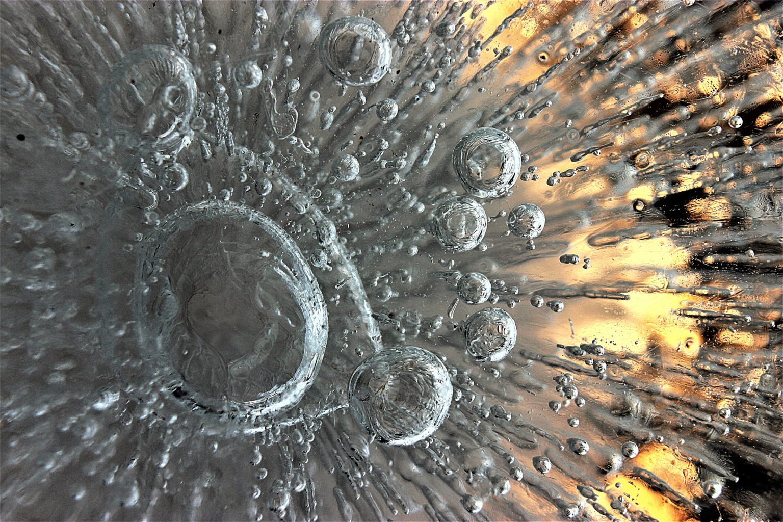 Valokuvaaja: Irja lehtinen