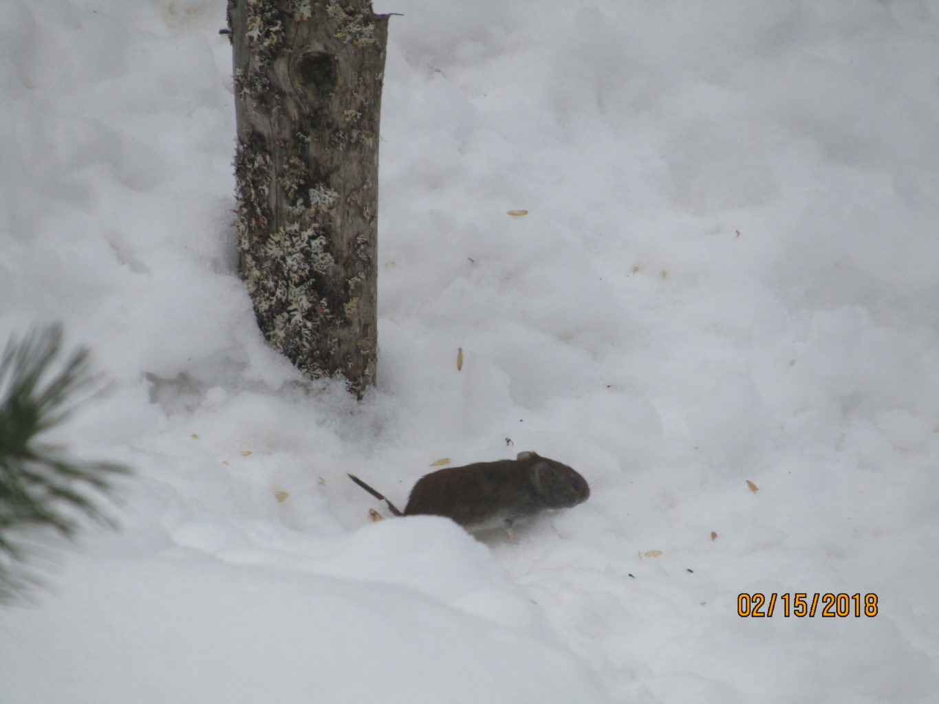 Valokuvaaja: Teija Matikka