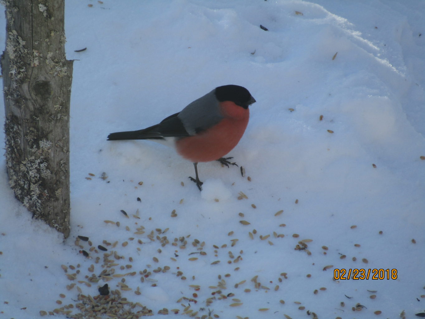 Valokuvaaja: Teija Matikka