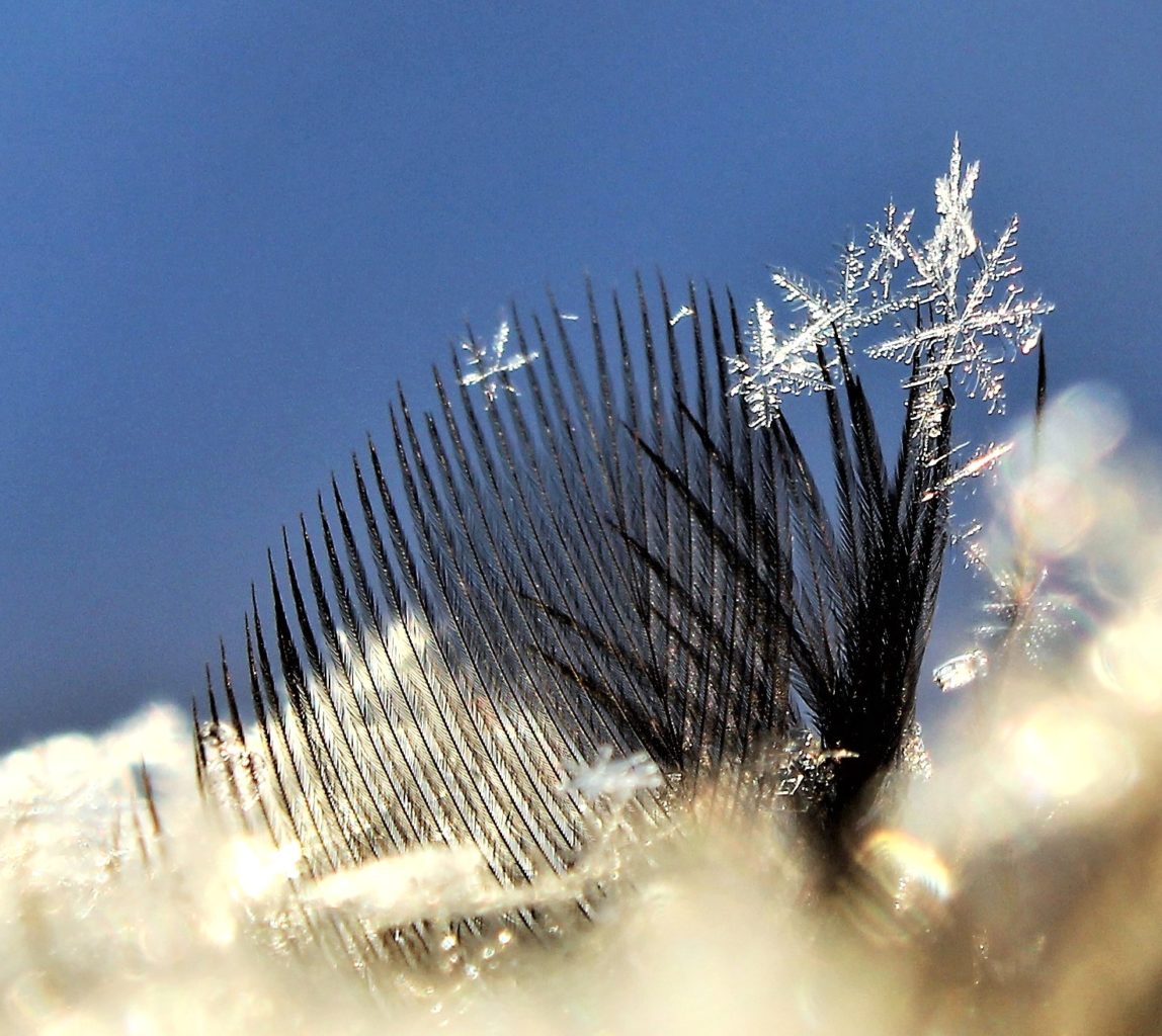 Valokuvaaja: Irja lehtinen