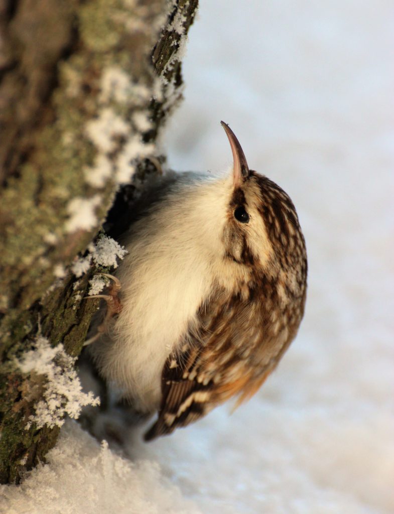 Valokuvaaja: Irja lehtinen