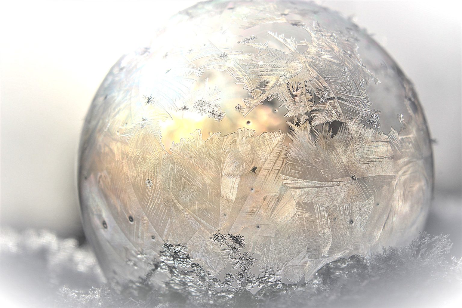 Valokuvaaja: Irja lehtinen