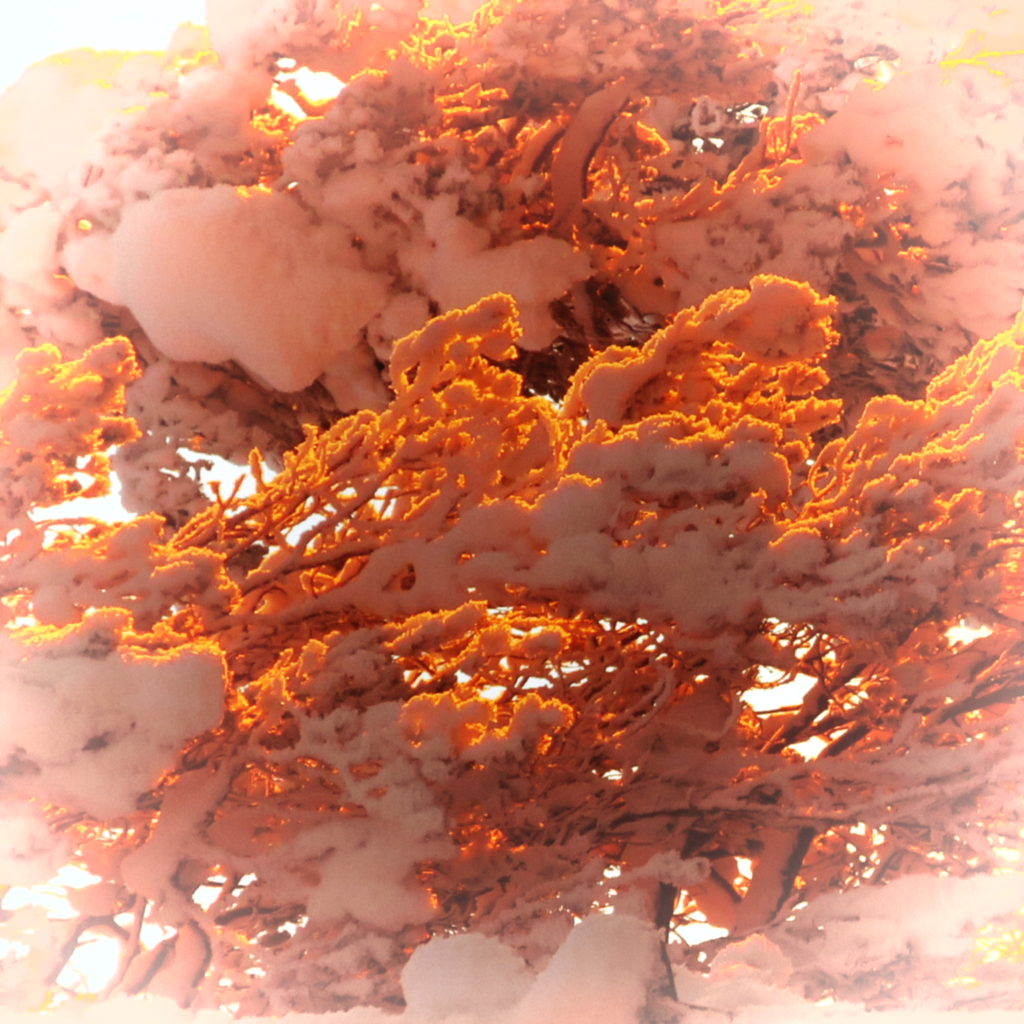 Valokuvaaja: Arto Alasuutari