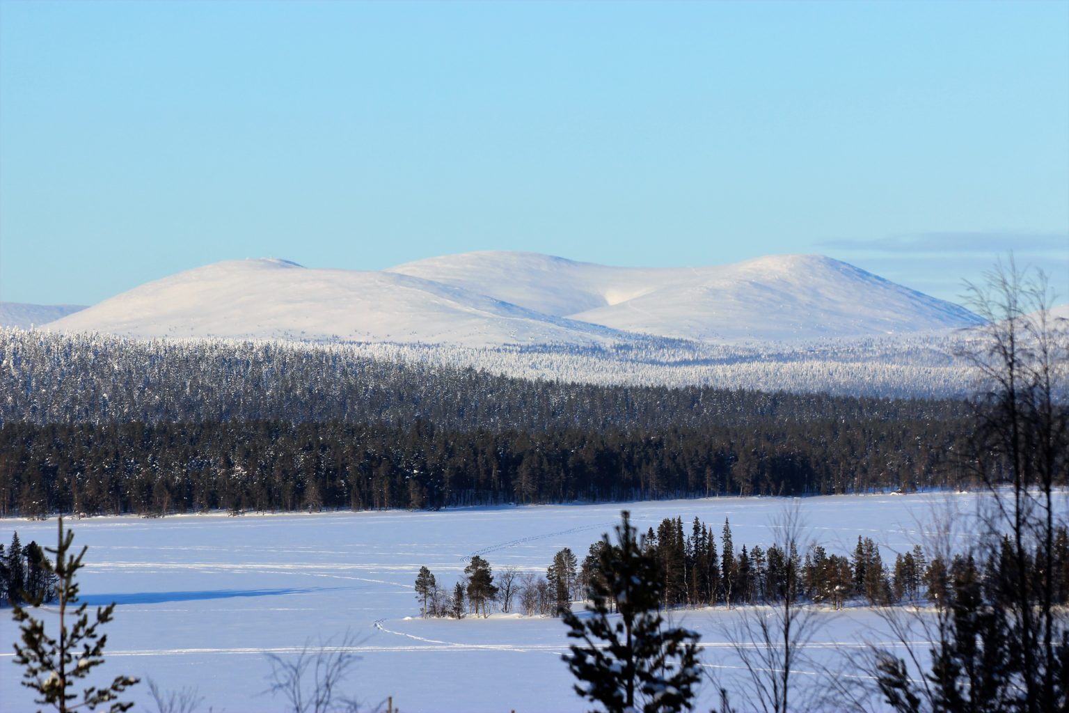 Valokuvaaja: Irja Lehtinen