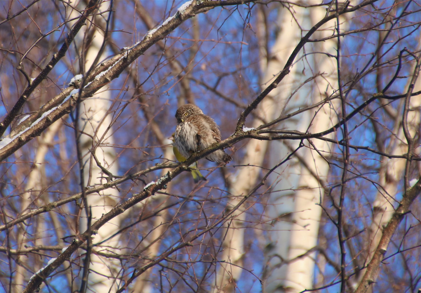 Valokuvaaja: Pirjo Kallio