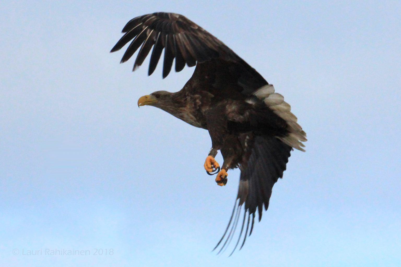 Valokuvaaja: Lauri Rahikainen