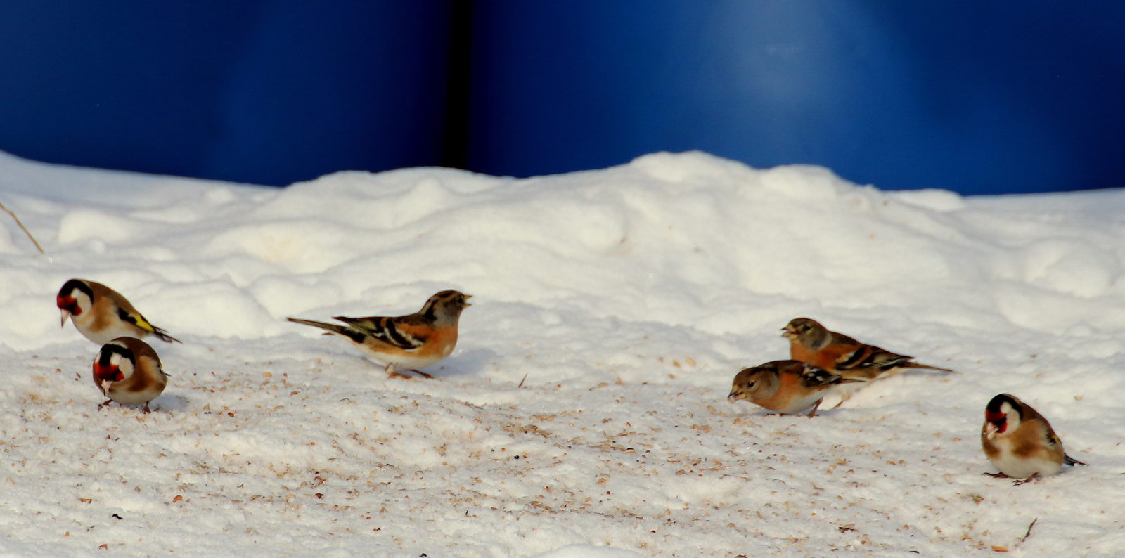 Valokuvaaja: Seija Allonen