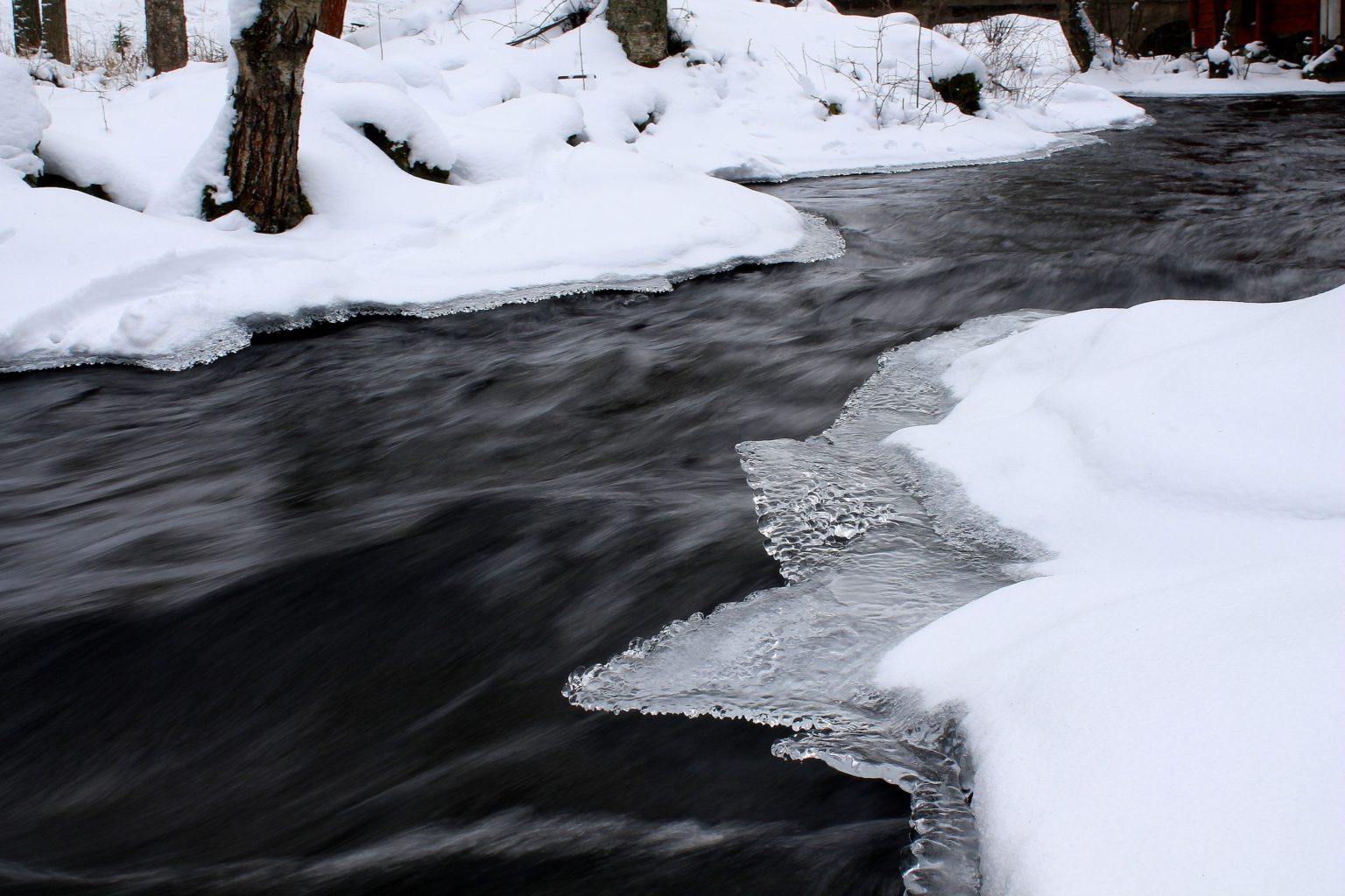 Valokuvaaja: Paula Savelius