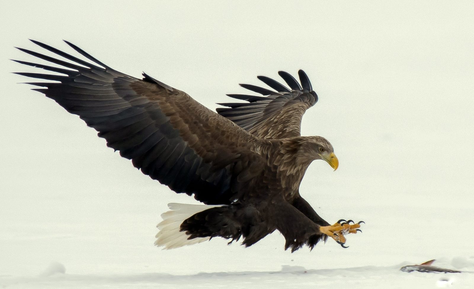 Valokuvaaja: Olavi Kangas