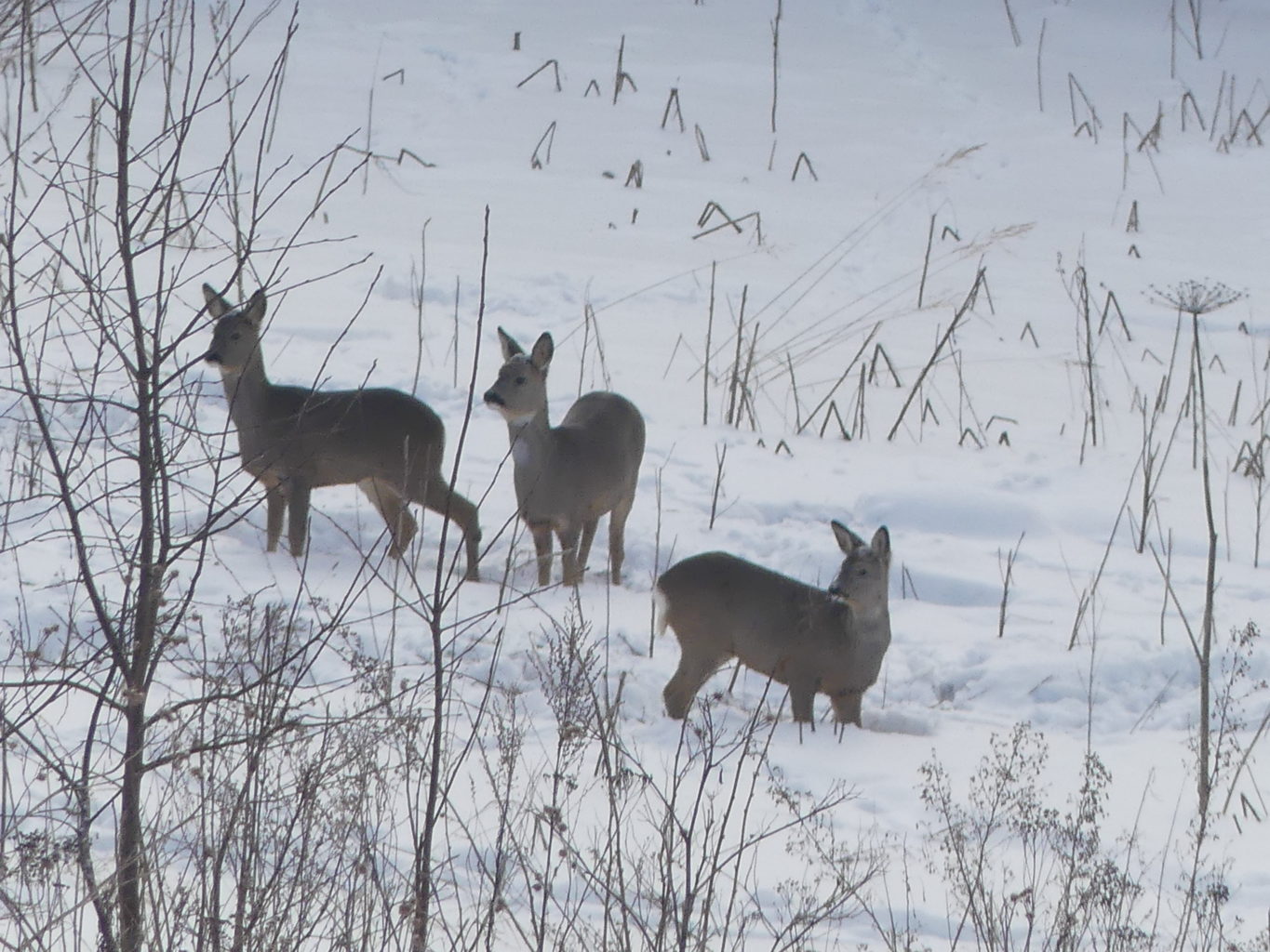 Valokuvaaja: Raili Paavola