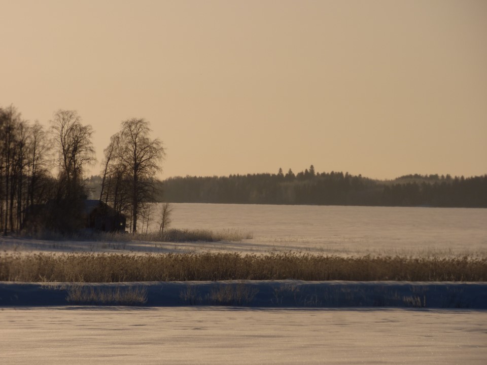 Valokuvaaja: Hannu Rissanen