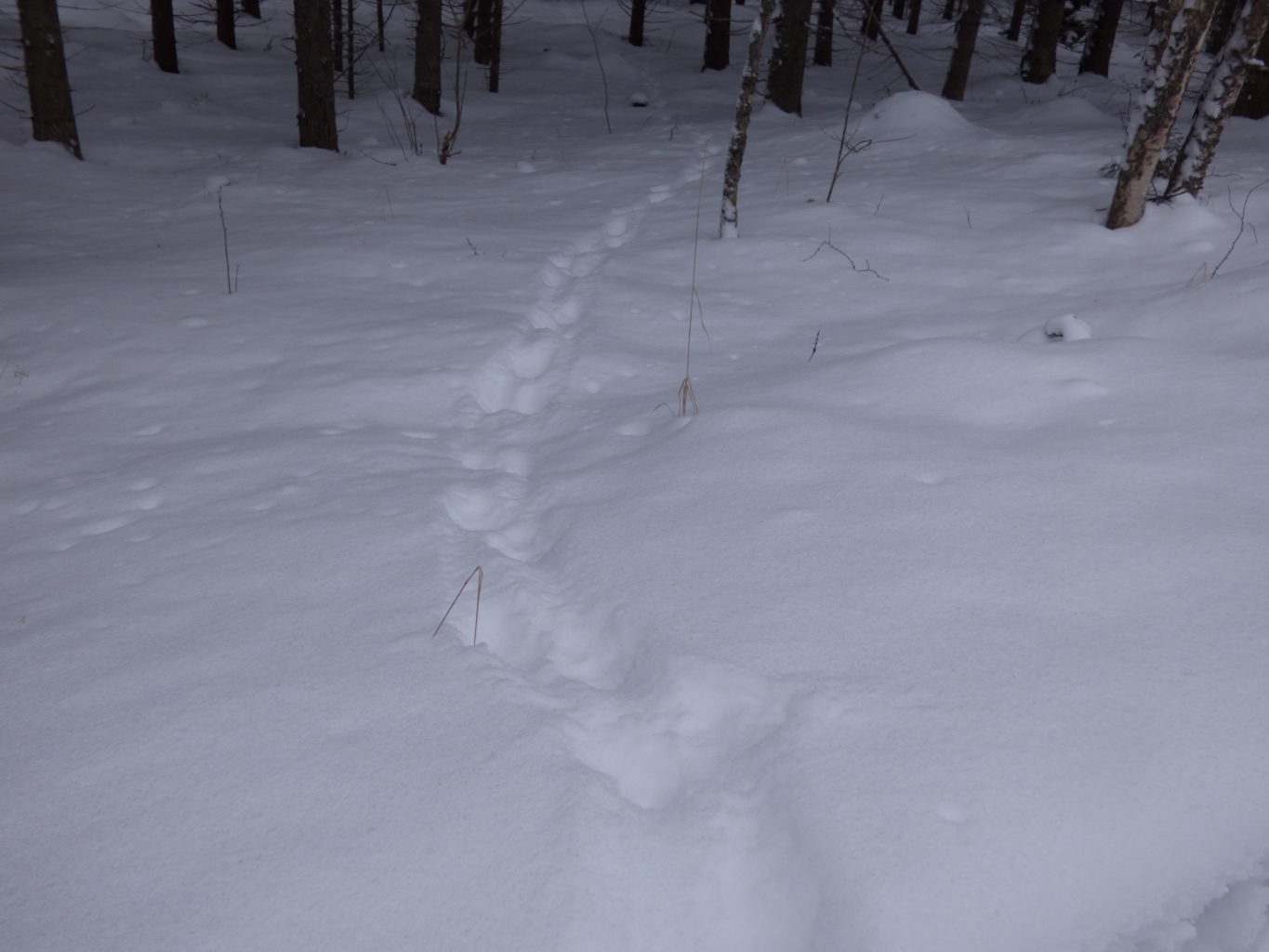 Valokuvaaja: Hannu Rissanen