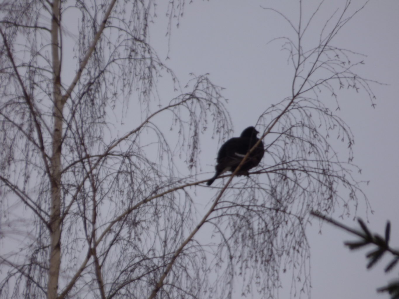 Valokuvaaja: Hannu Rissanen