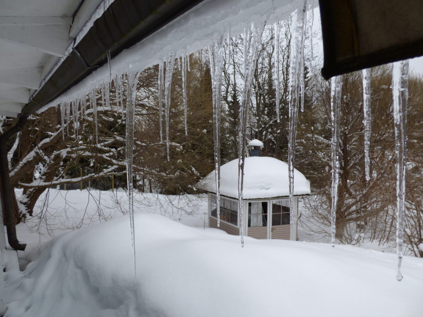 Valokuvaaja: Hannu Rissanen