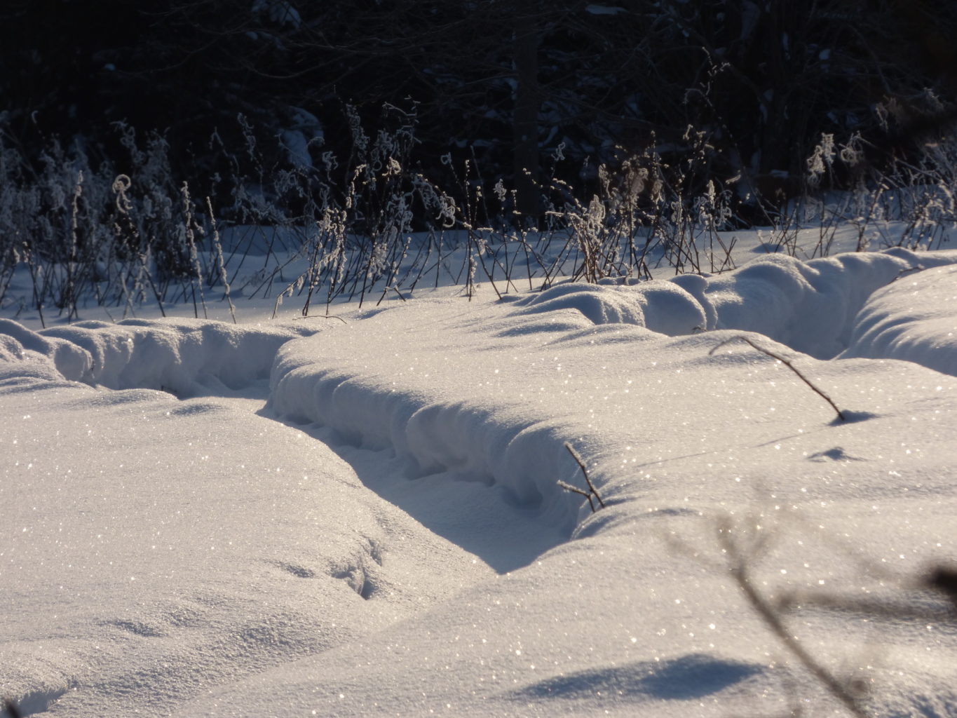 Valokuvaaja: Hannu Rissanen