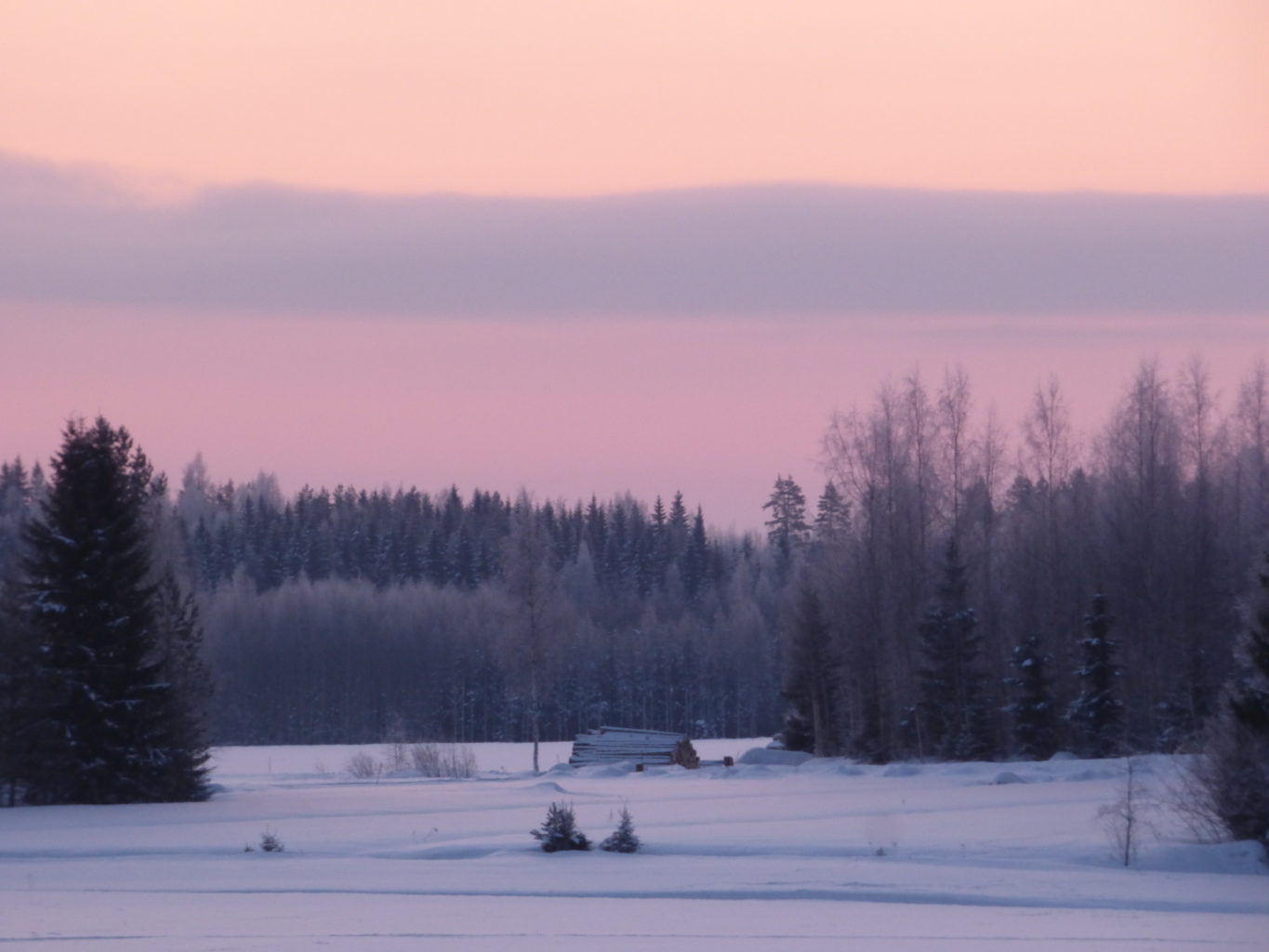 Valokuvaaja: Hannu Rissanen