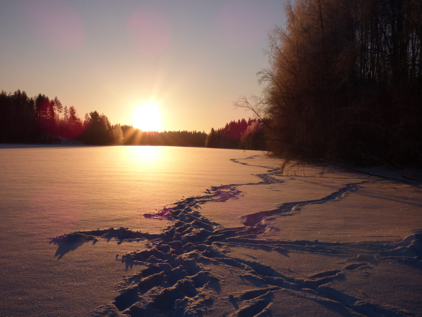 Valokuvaaja: Hannu Rissanen