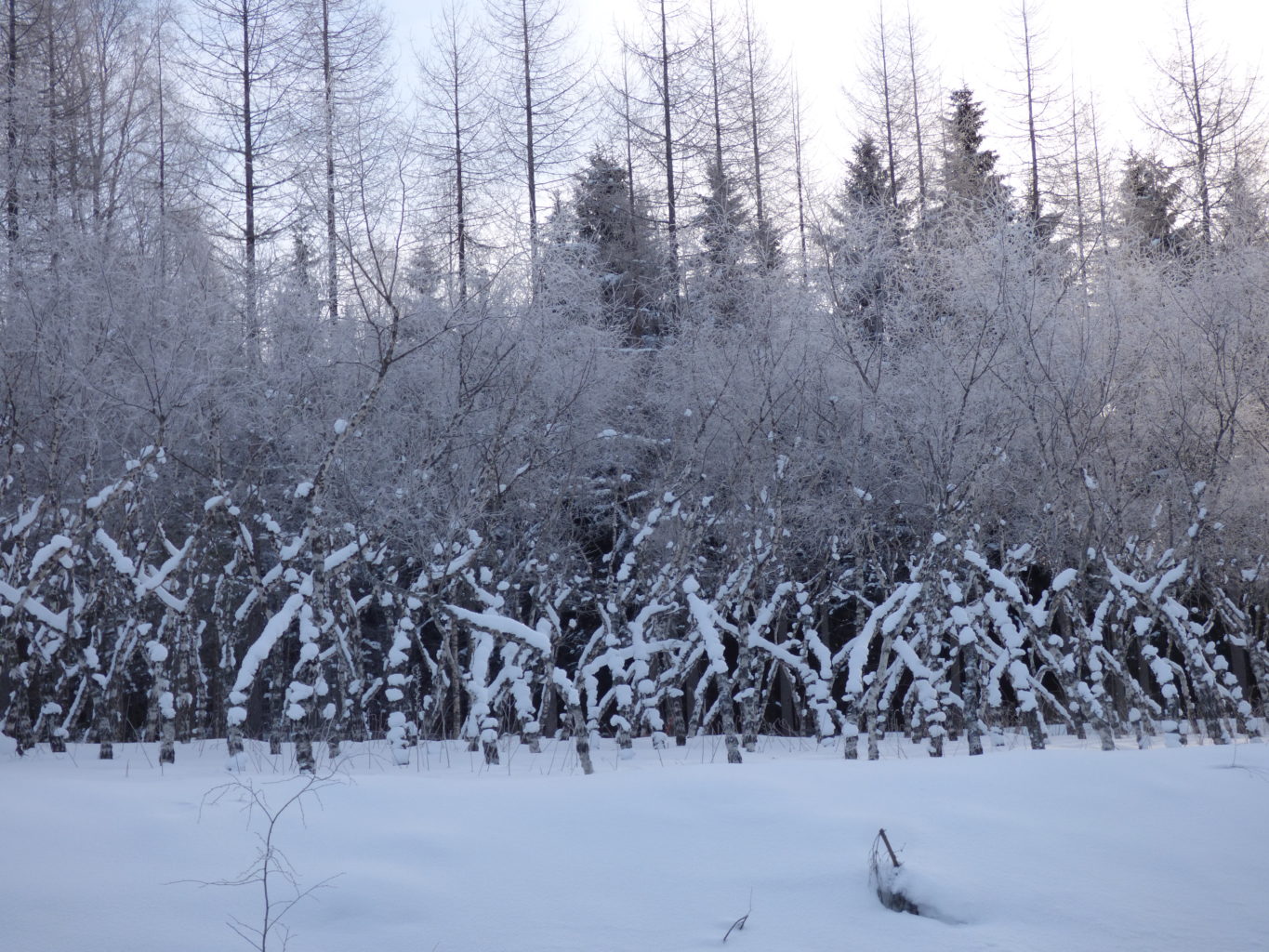Valokuvaaja: Hannu Rissanen