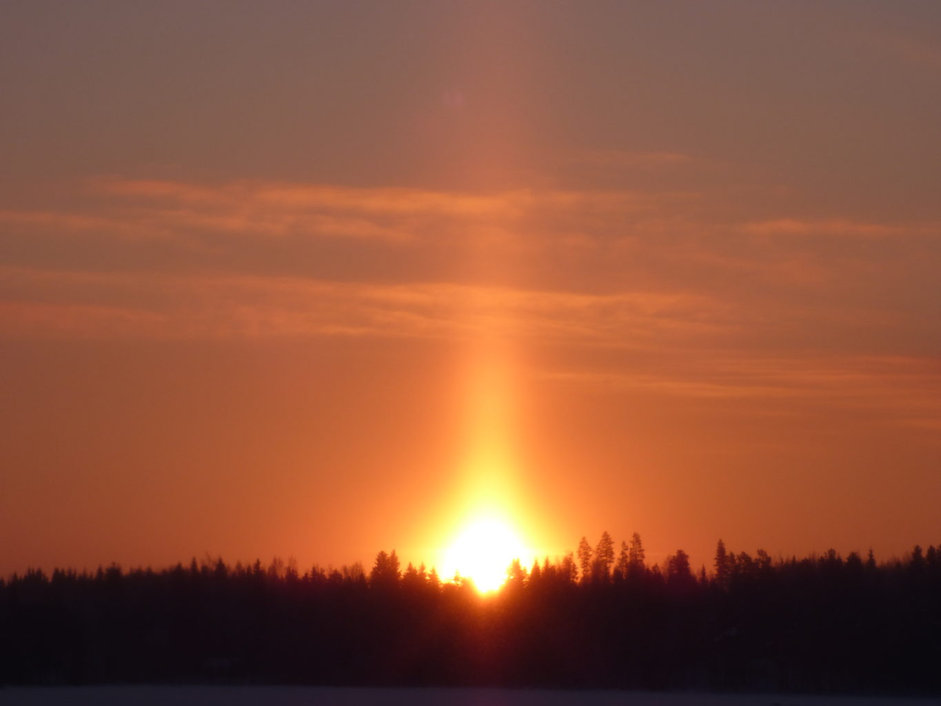 Valokuvaaja: Hannu Rissanen