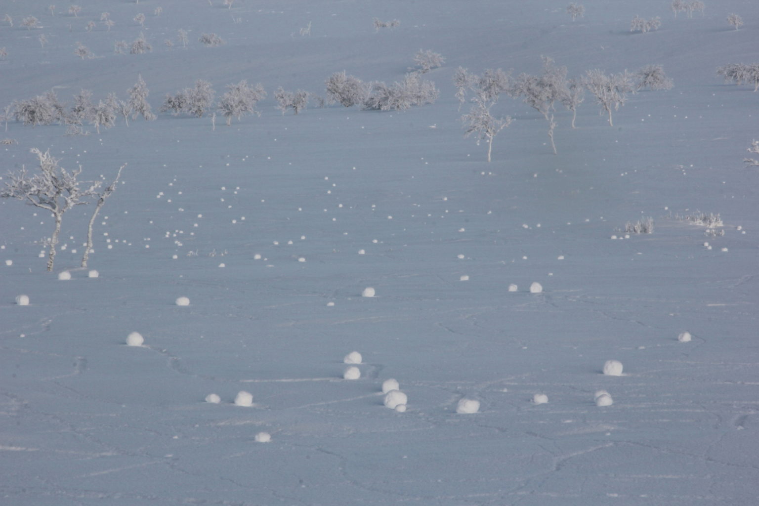 Valokuvaaja: Jussi Kemppainen