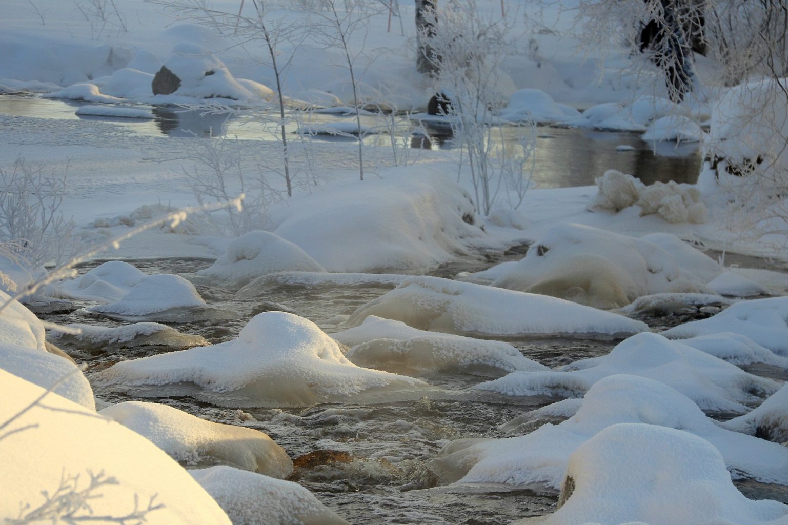 Valokuvaaja: Sirpa Jyske
