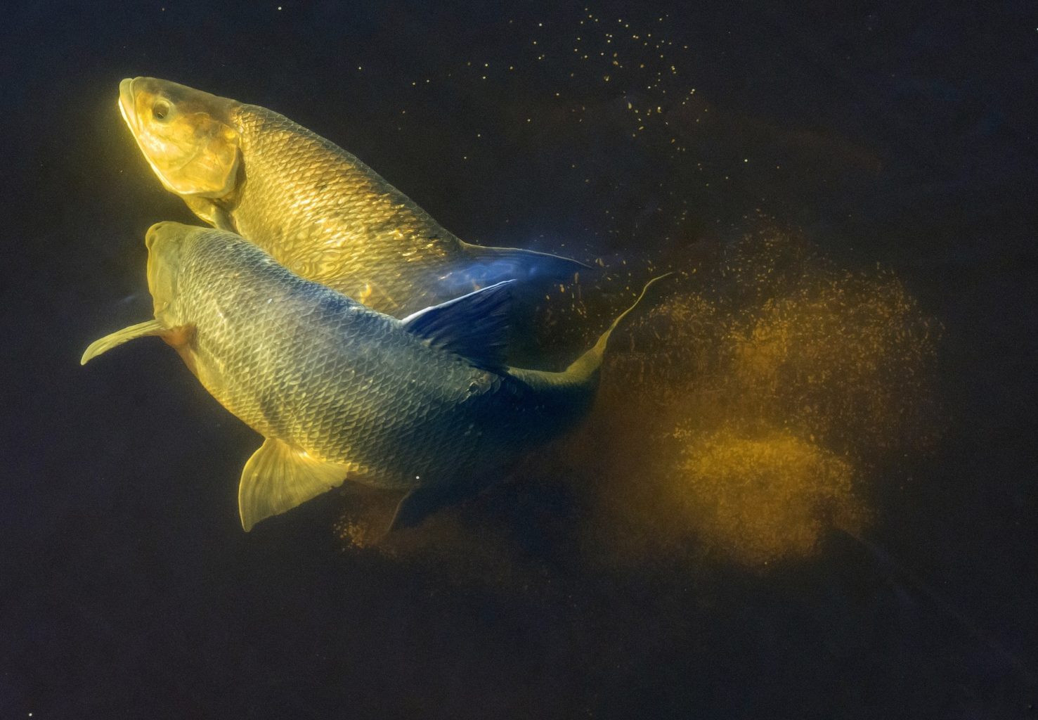 Valokuvaaja: Olavi Kangas