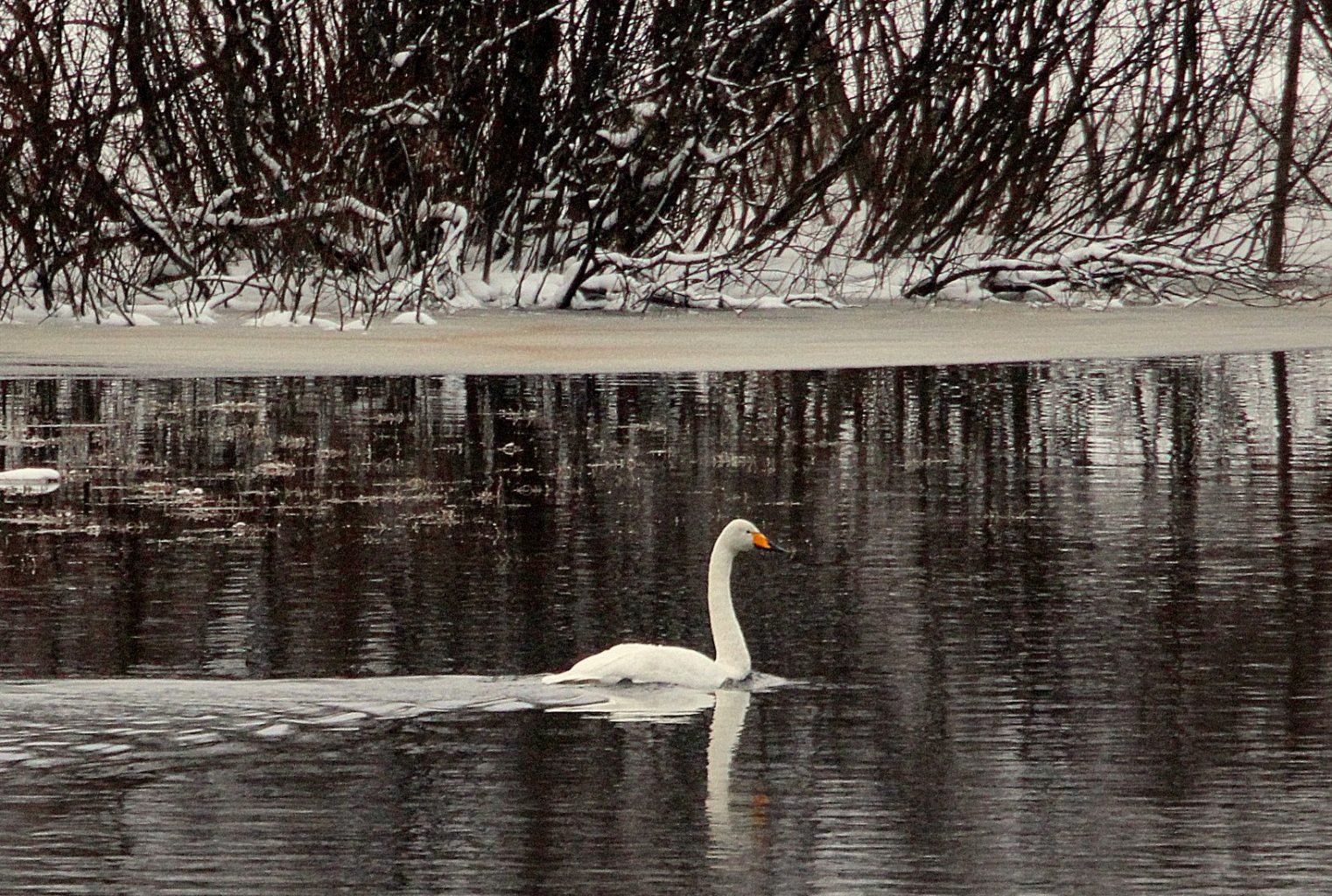 Valokuvaaja: Sirpa Jyske