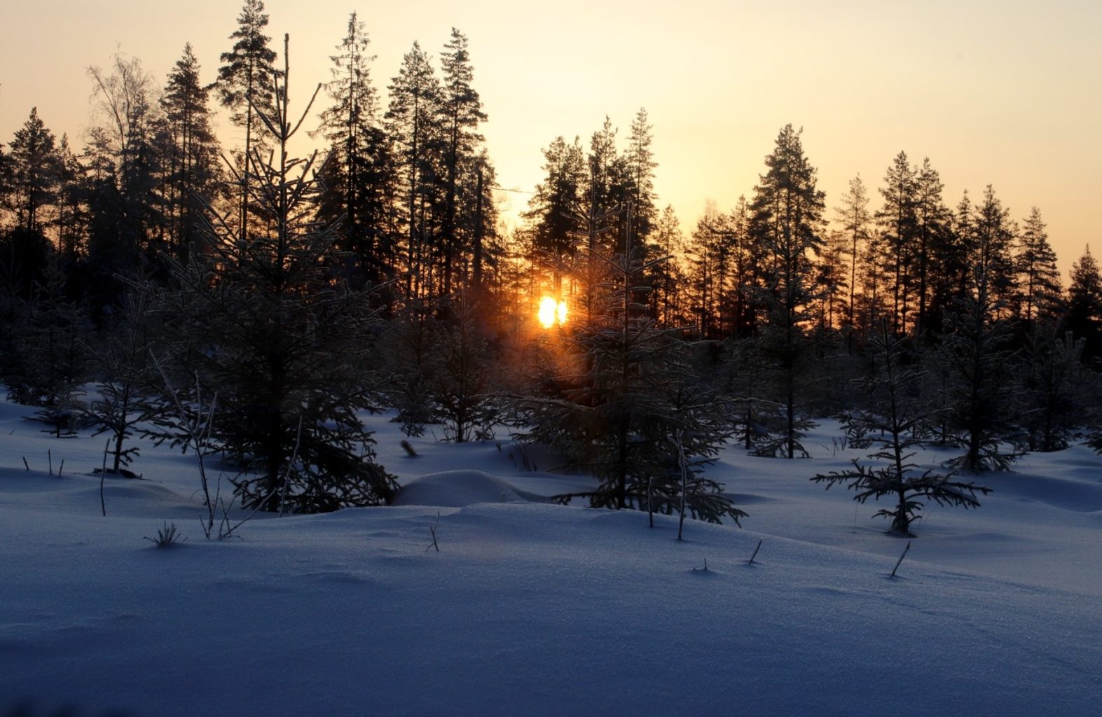 Valokuvaaja: Sirpa Jyske