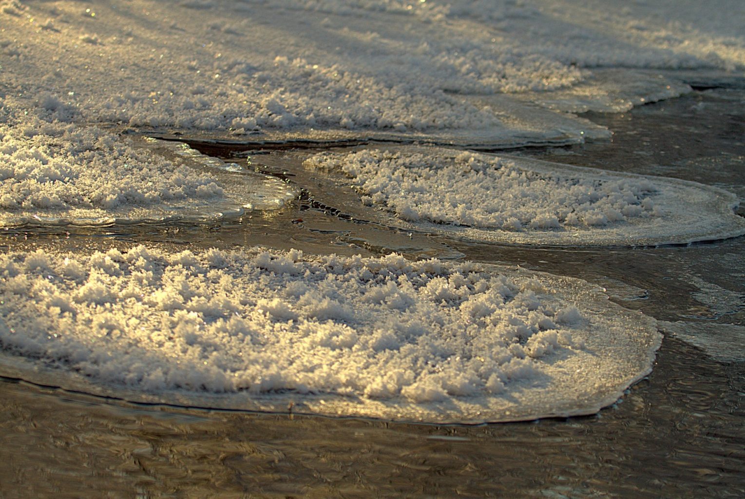 Valokuvaaja: Sirpa Jyske