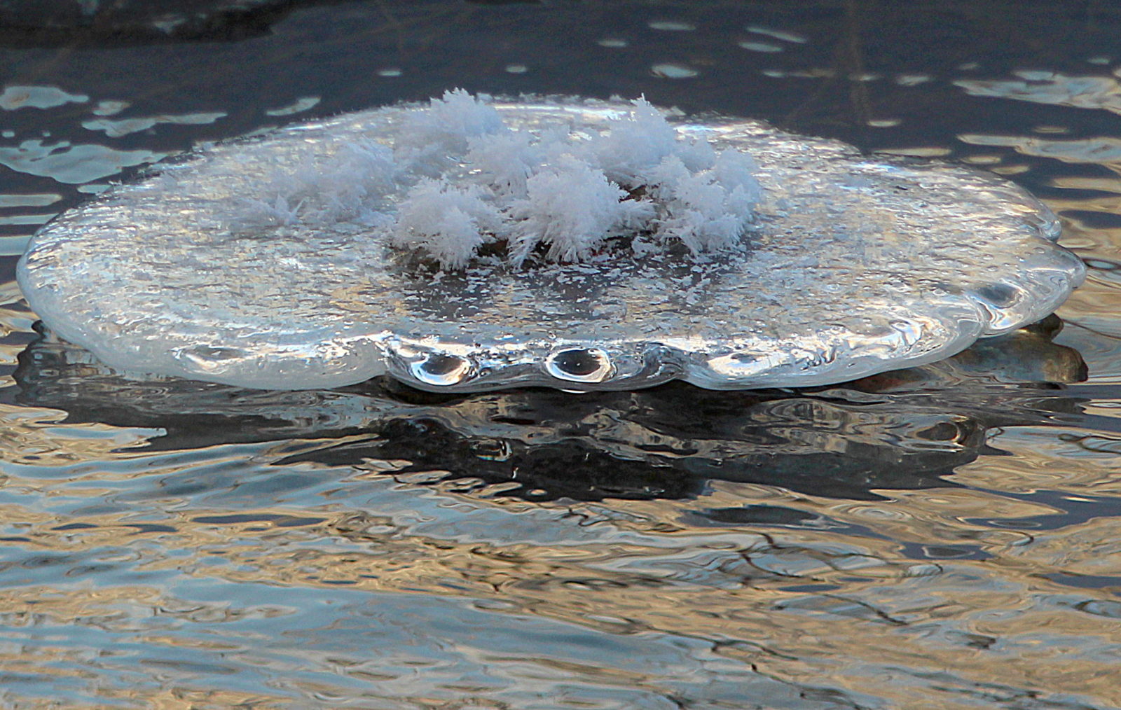 Valokuvaaja: Sirpa Jyske