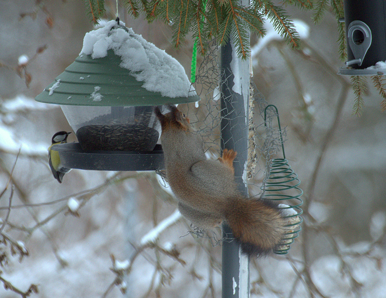 Valokuvaaja: Sirpa Jyske