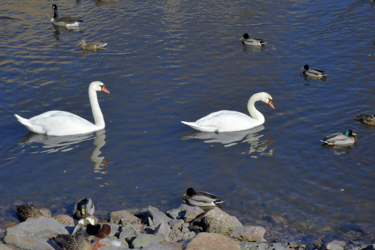 Valokuvaaja: Reijo Juurinen