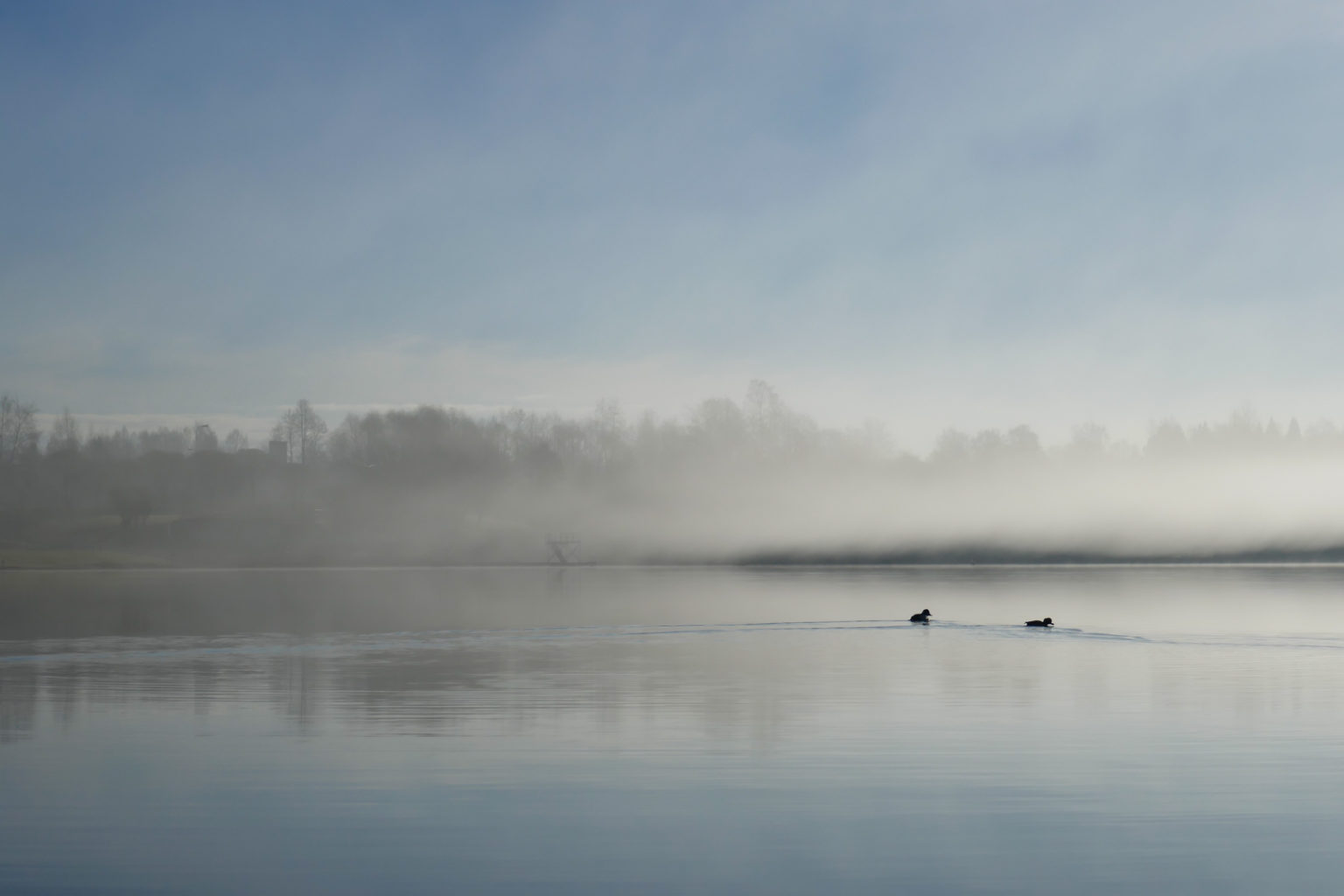 Valokuvaaja: Anne Patana