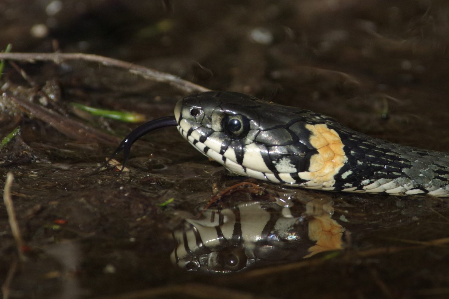 Valokuvaaja: Heikki Heinonen Valokuvaaja: Heikki Heinonen