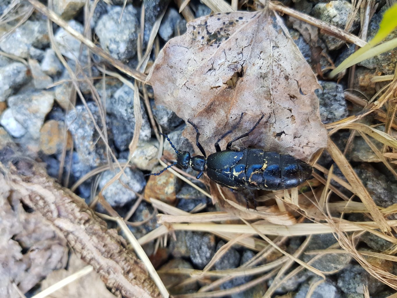 Valokuvaaja: Katja Sorri