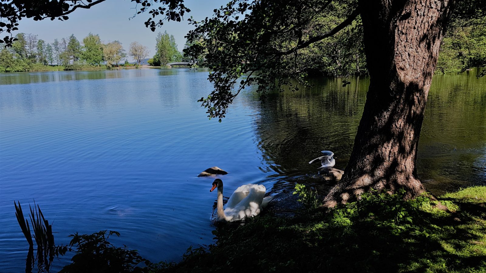 Valokuvaaja: Maija Savolainen