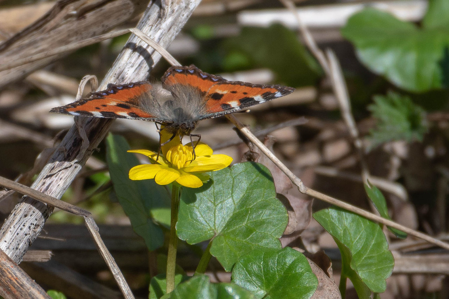 Valokuvaaja: Pertti Jämä