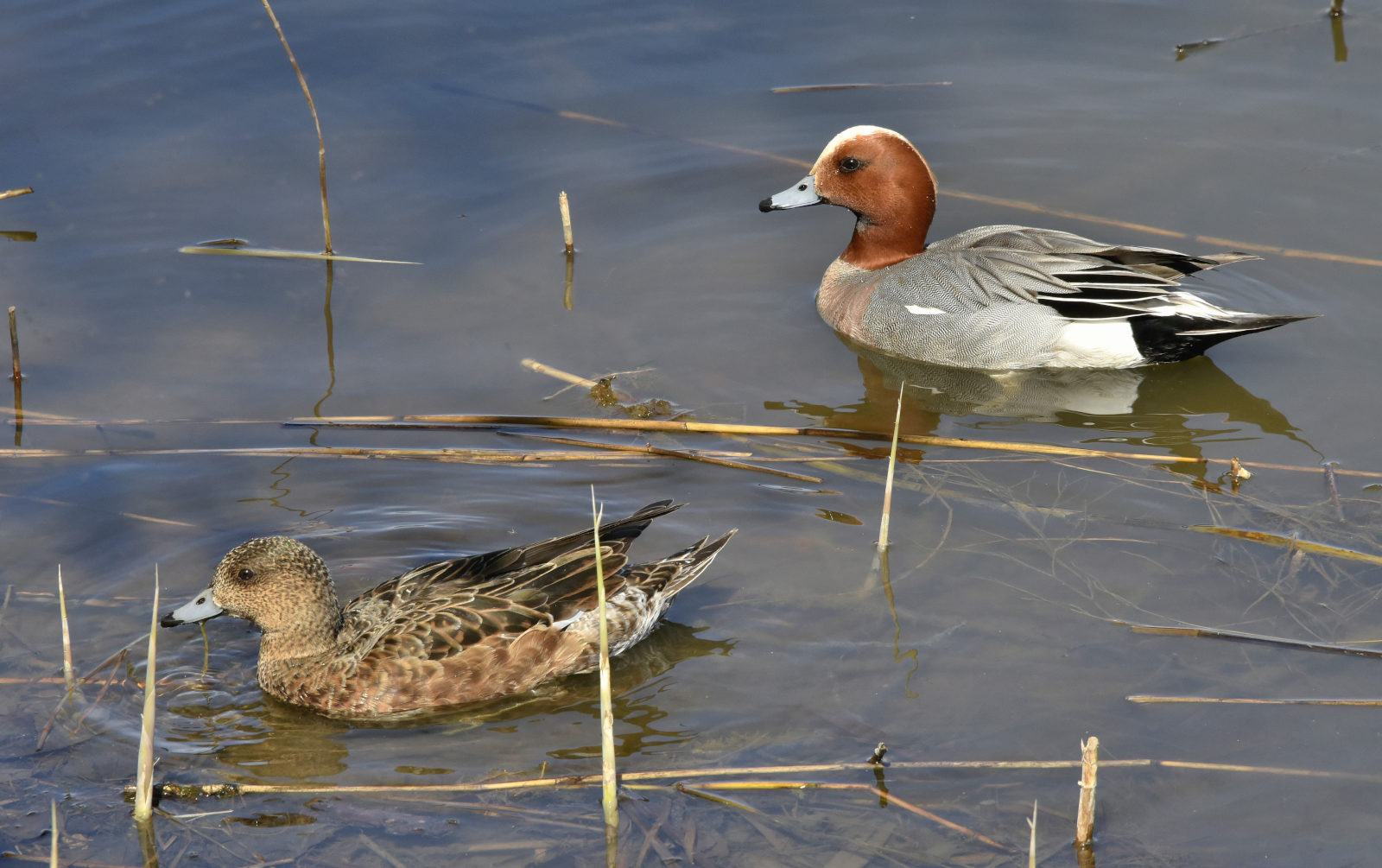 Valokuvaaja: Reijo Juurinen Valokuvaaja: Reijo Juurinen
