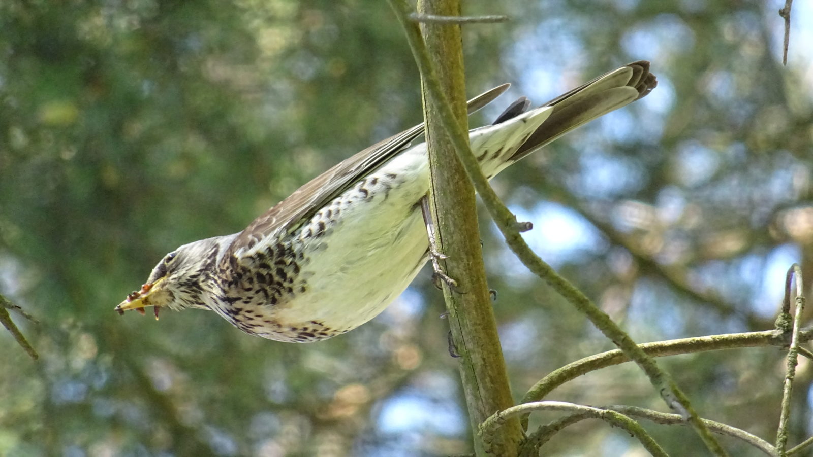 Valokuvaaja: Katja Ketola