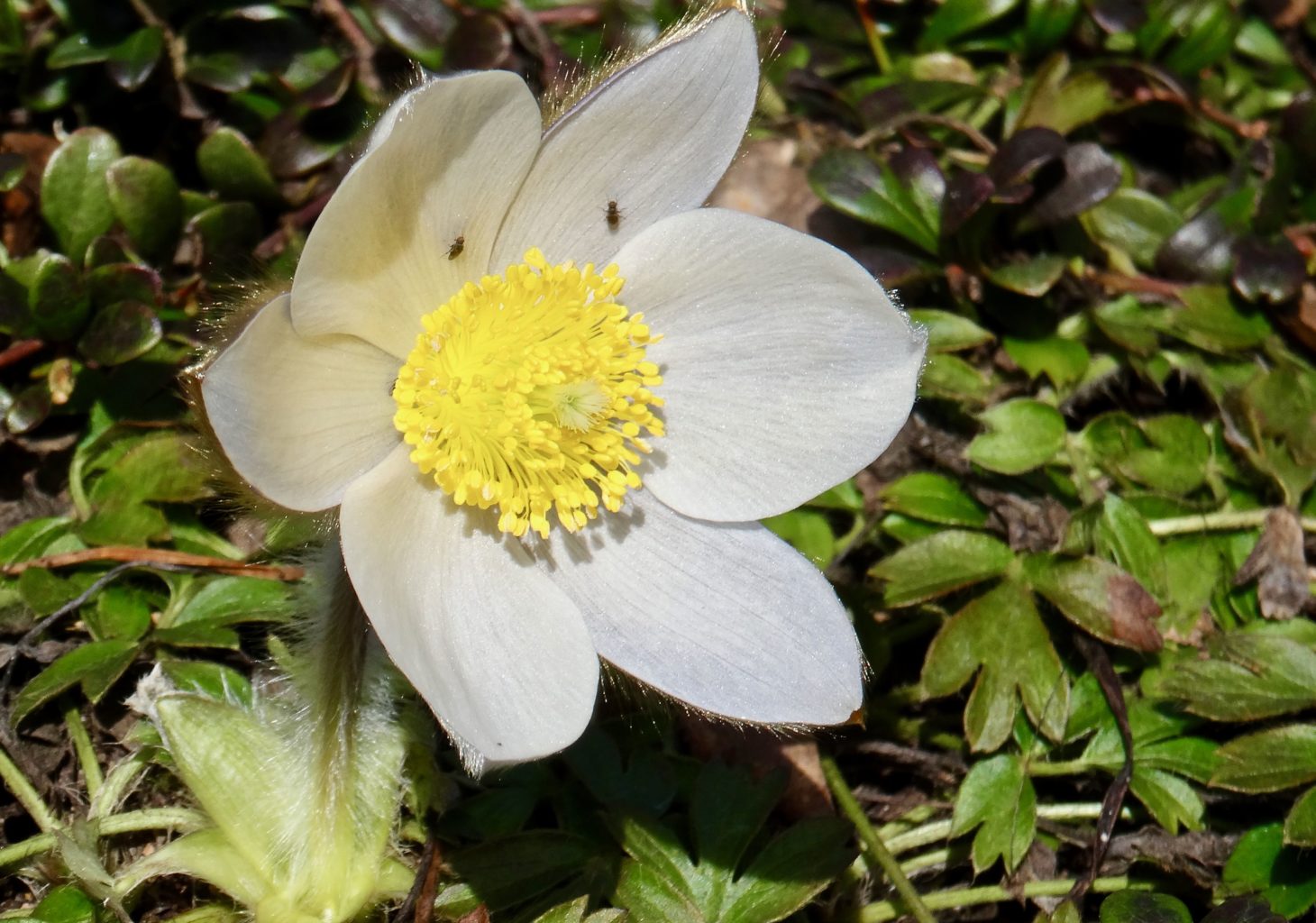 Valokuvaaja: Liisa Niiva-Korpela