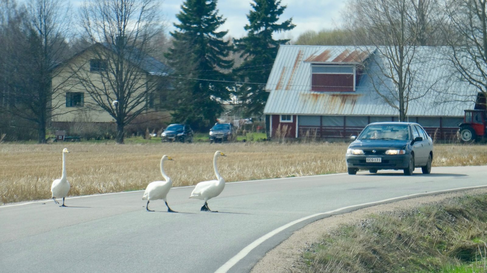 Valokuvaaja: Liisa Niiva-Korpela
