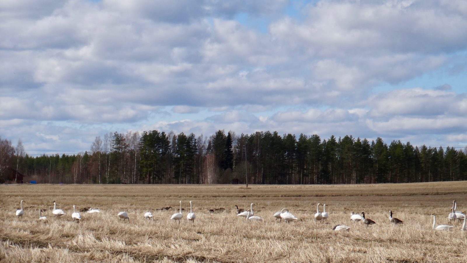 Valokuvaaja: Liisa Niiva-Korpela